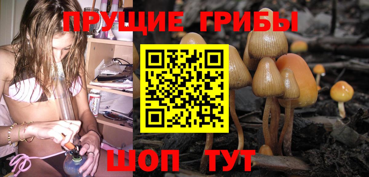 Галлюциногенные грибы Cubensis  Псилоцибиновые грибы мухоморы  Вход с VPN  Всеволожск 