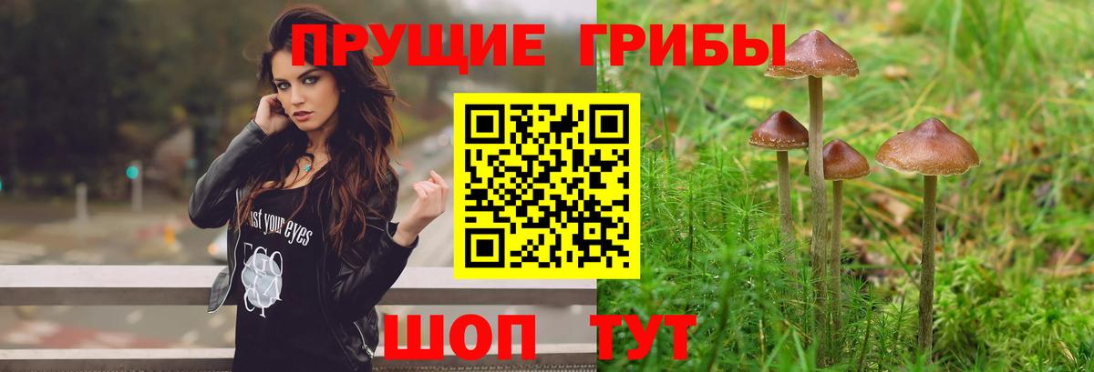 Галлюциногенные грибы MAGIC MUSHROOMS Всеволожск